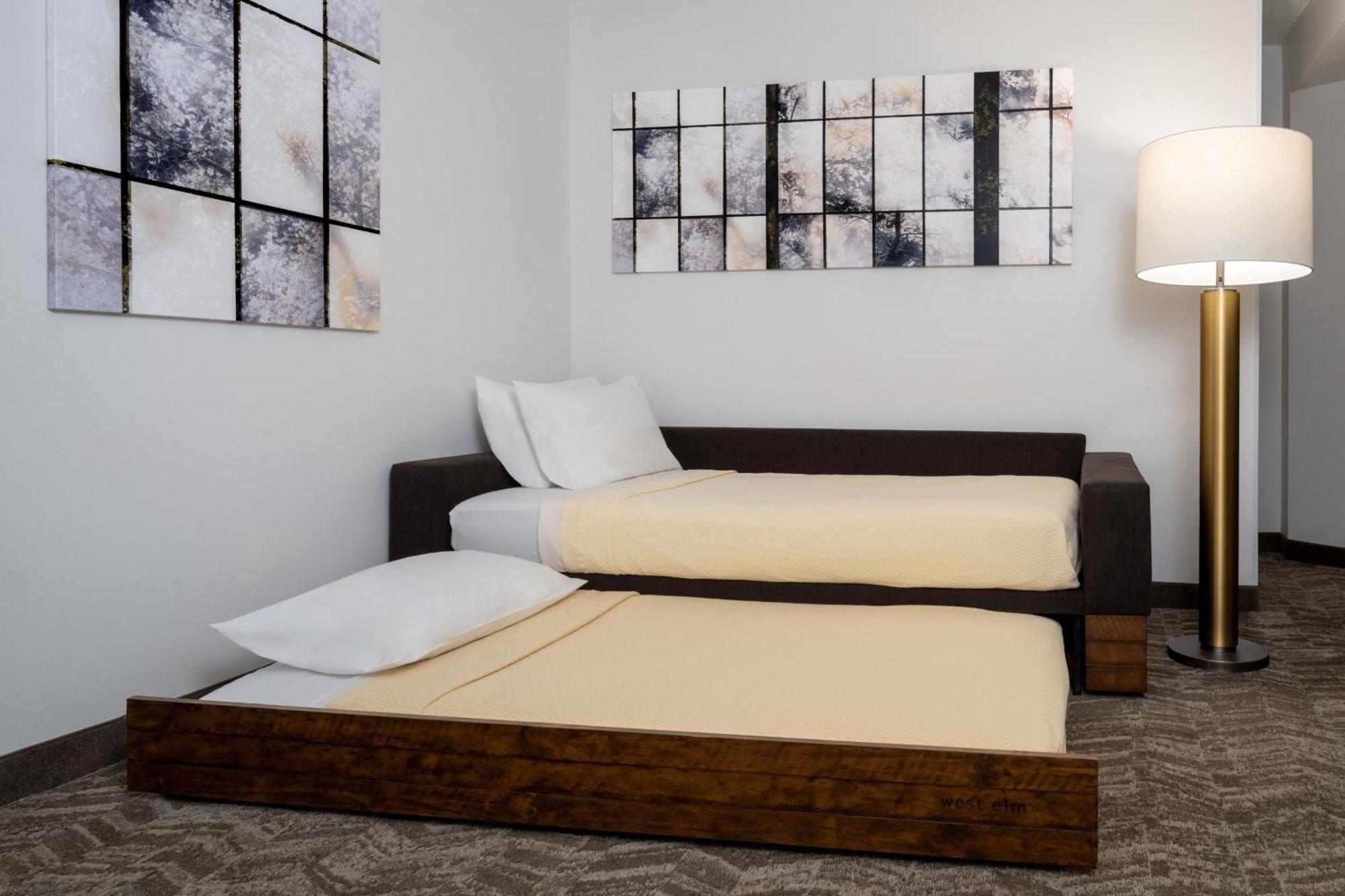Springhill Suites Gainesville Bagian luar foto