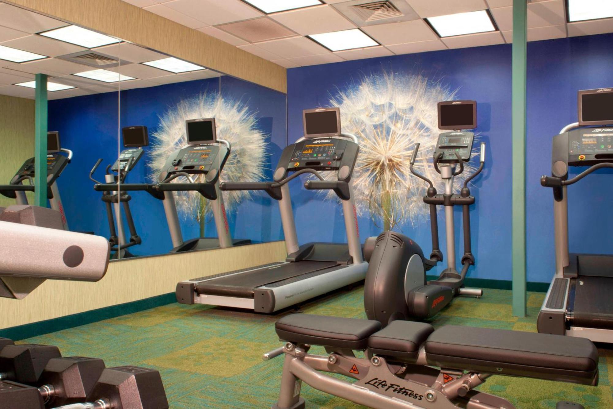 Springhill Suites Gainesville Bagian luar foto